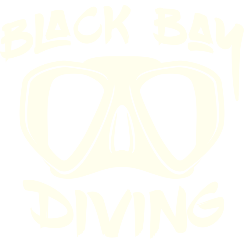 Black Bay Diving